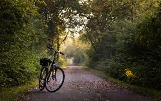 Bicycle on a street with trees